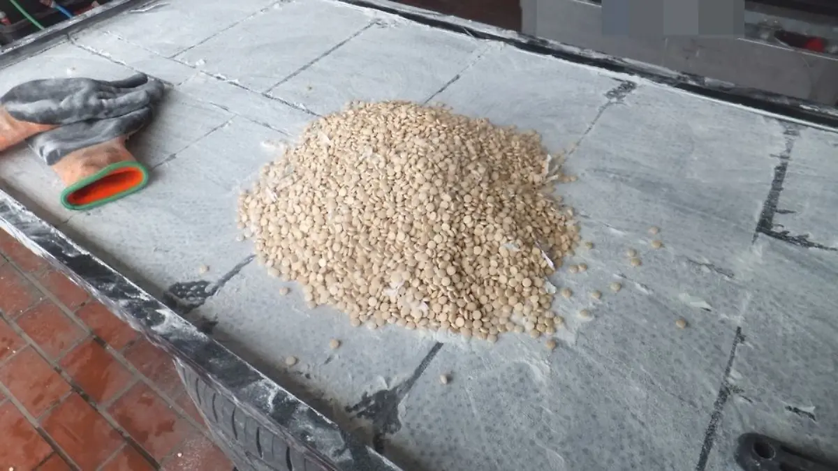 Die Polizei hat in einer Wohnung das millionenschwere Drogenversteck gefunden.