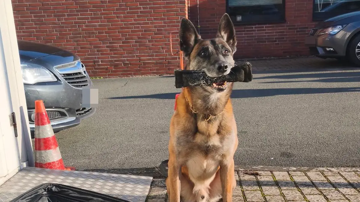 Spürhund Lemmy schlug in der Wohnung der Mutter an.