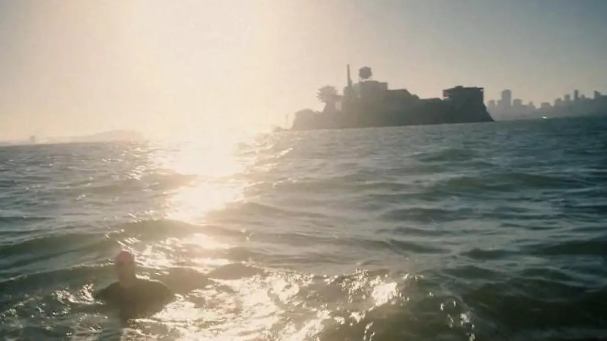 „Bin aus Alcatraz ausgebrochen" – RTL-Reporter kämpft sich durch Haifisch-Gewässer Lebensgefährlicher Selbstversuch