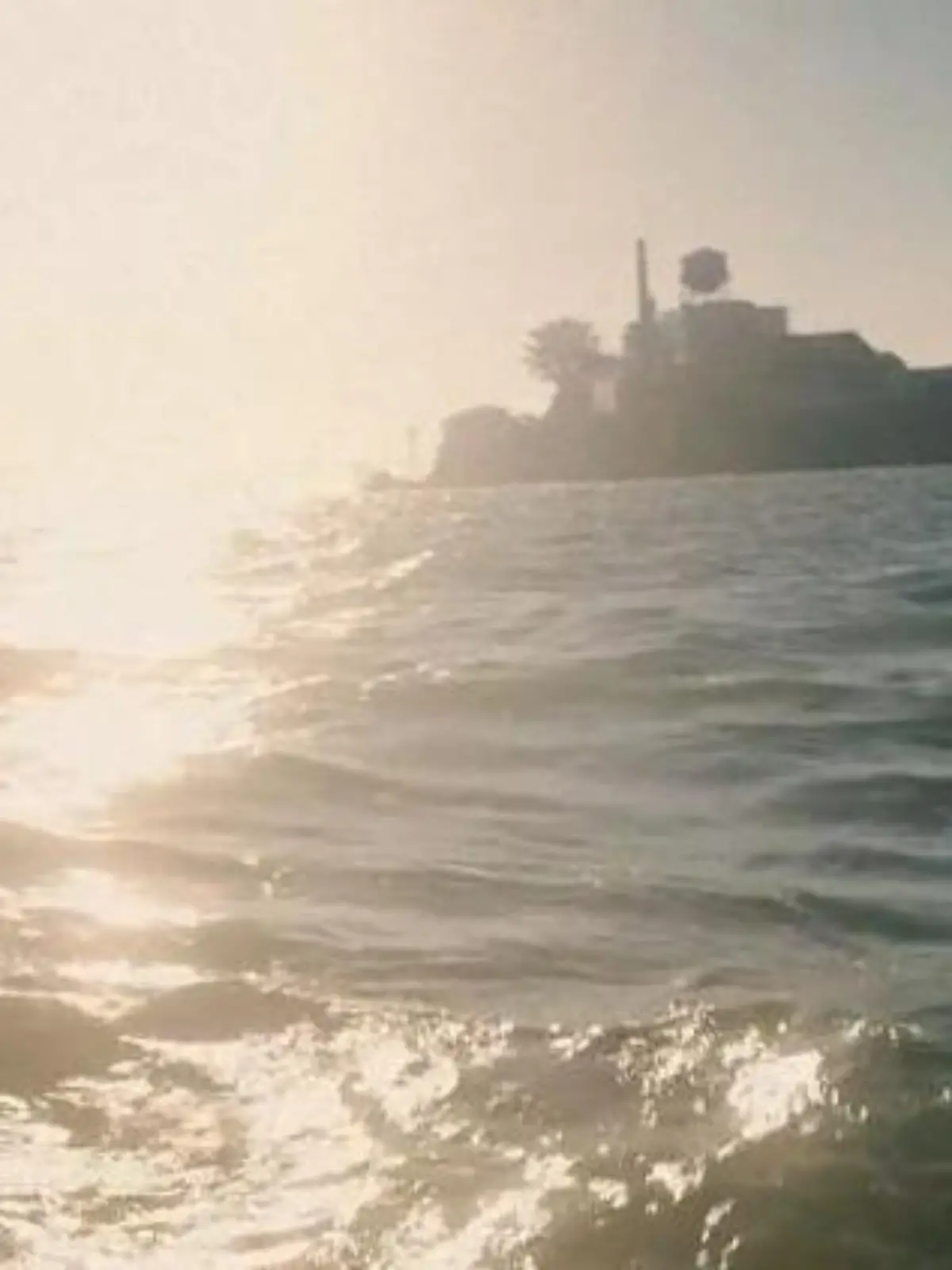 Bild zu: "„Bin aus Alcatraz ausgebrochen" – RTL-Reporter kämpft sich durch Haifisch-Gewässer"