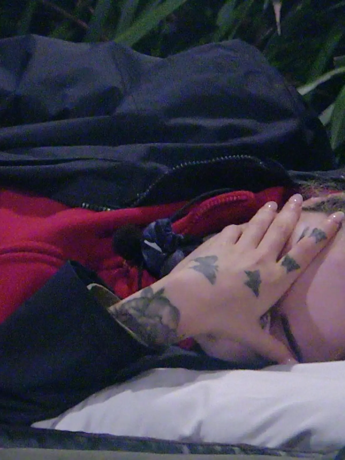 Bild zu: "Die Dschungelcamper begehen immer mehr Regelverstöße"