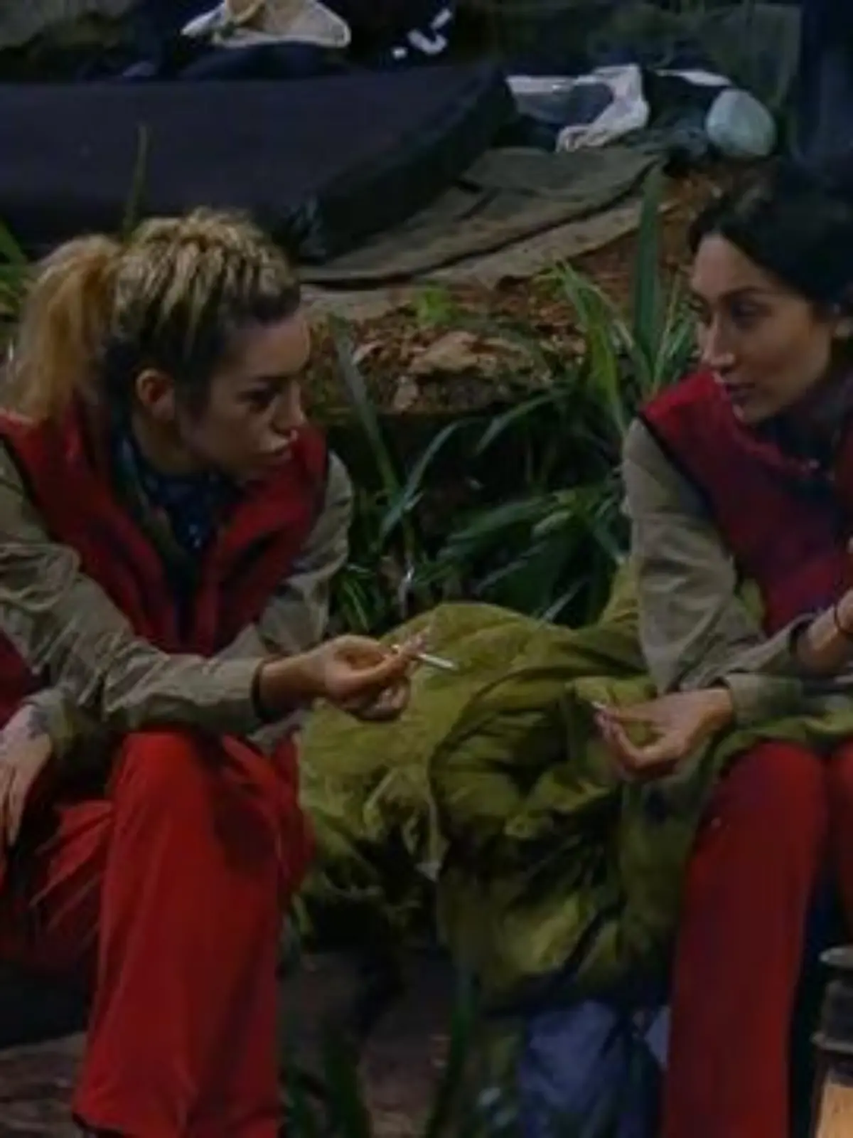 Bild zu: "Possum beliebter als Gil - Stimmung am Tiefpunkt!"