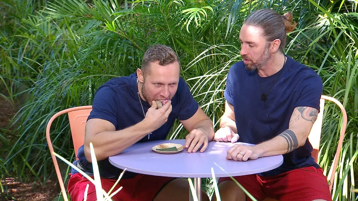 Bild zu: "In dieser Dschungelprüfung beweisen Gil Ofarim und Patrick Romer Biss!"