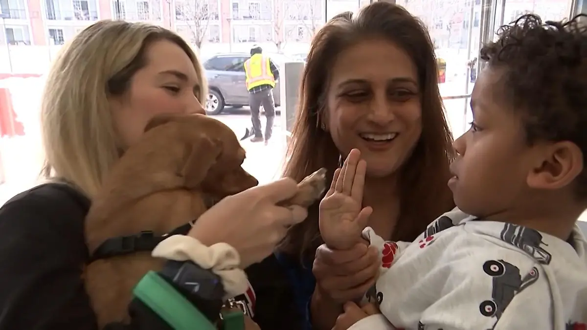 Cameron und Panini haben den kleinsten Herzschrittmacher der Welt Zwei Herzen, ein Takt