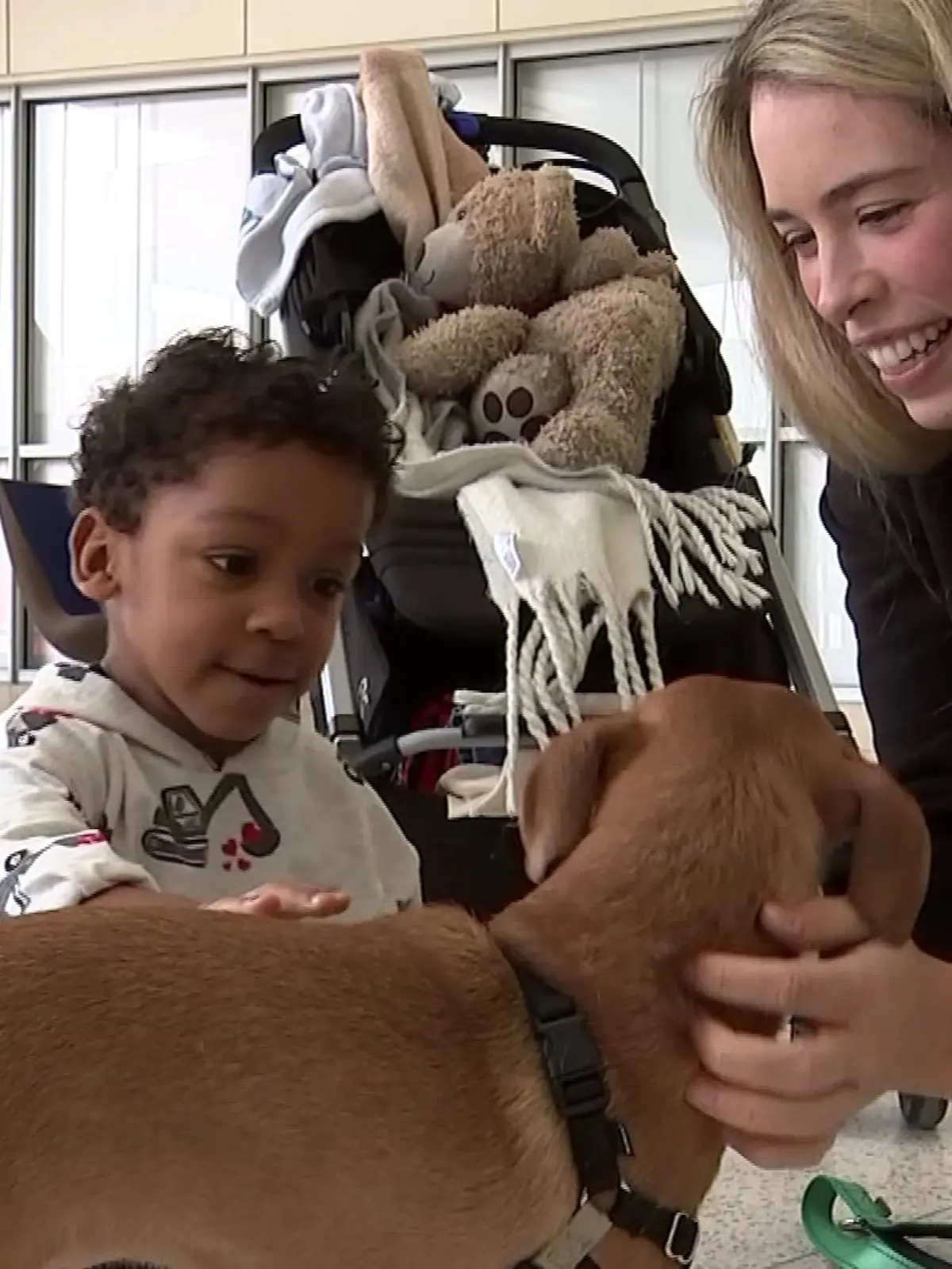 Bild zu: "Junge und Hund bekommen den kleinsten Schrittmacher der Welt"