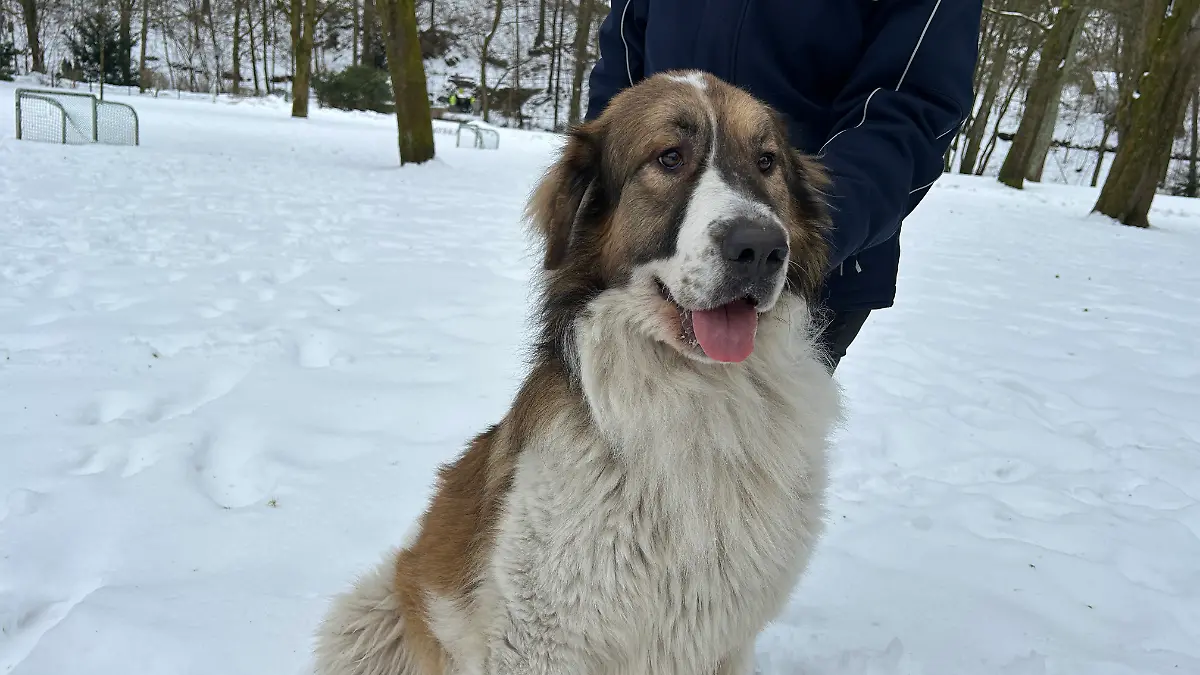Wolfgang wartet verzweifelt darauf, endlich von seiner Familie abgeholt zu werden.