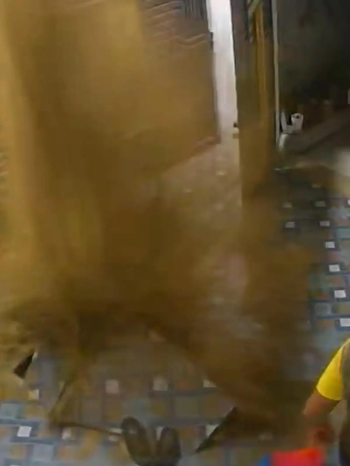 Bild zu: "Ach du kacke! Fäkalien-Explosion im Wohnzimmer – Mann bekommt Abwasserdusche"