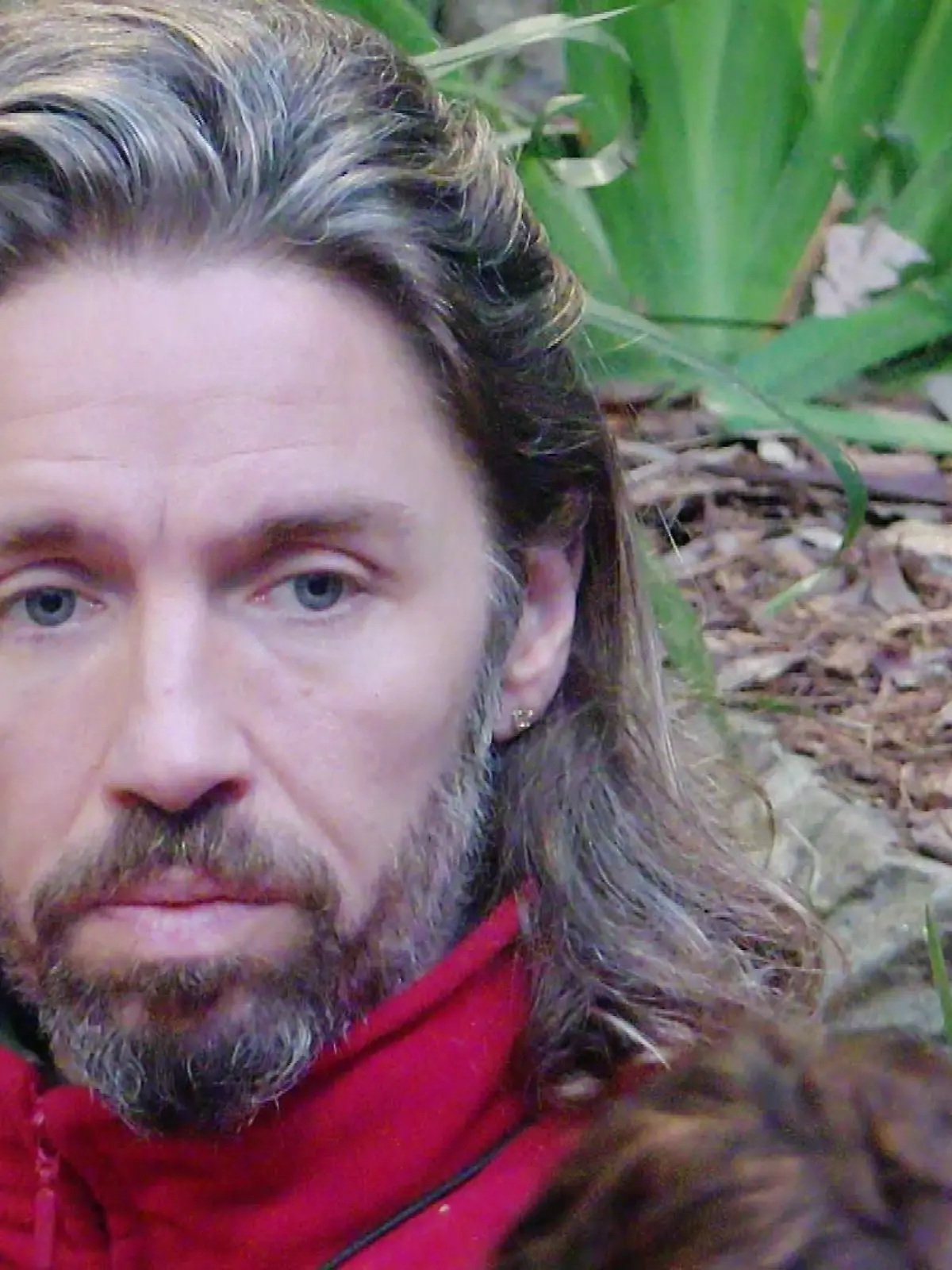 Bild zu: "Gil Ofarims Aussagen im Faktencheck"