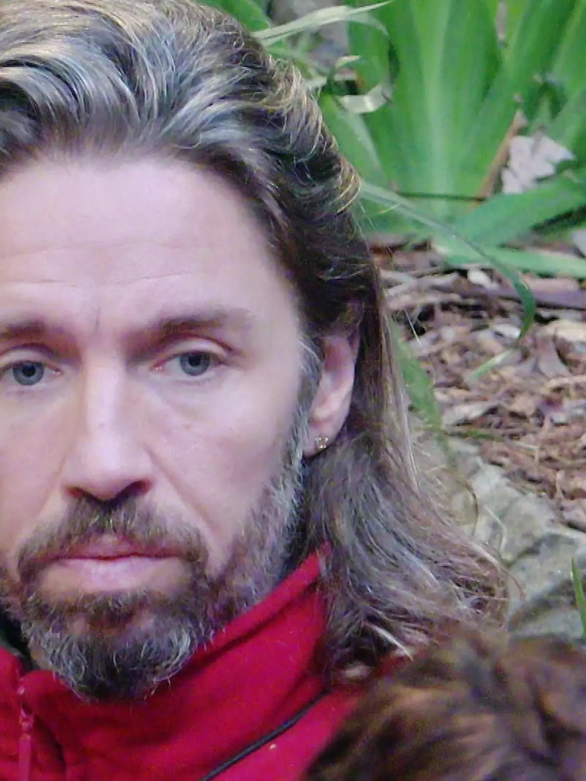 Bild zu: "Erst Shitstorm, jetzt Dschungelcamp-Finalist - wie ist das möglich?"