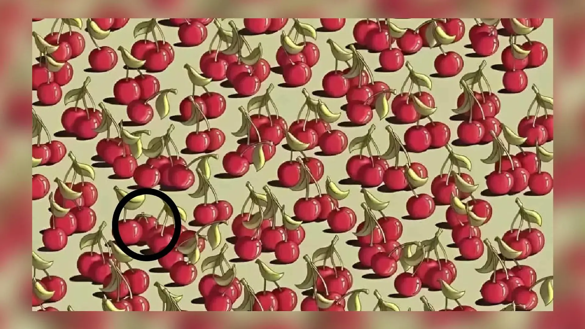Suchbild