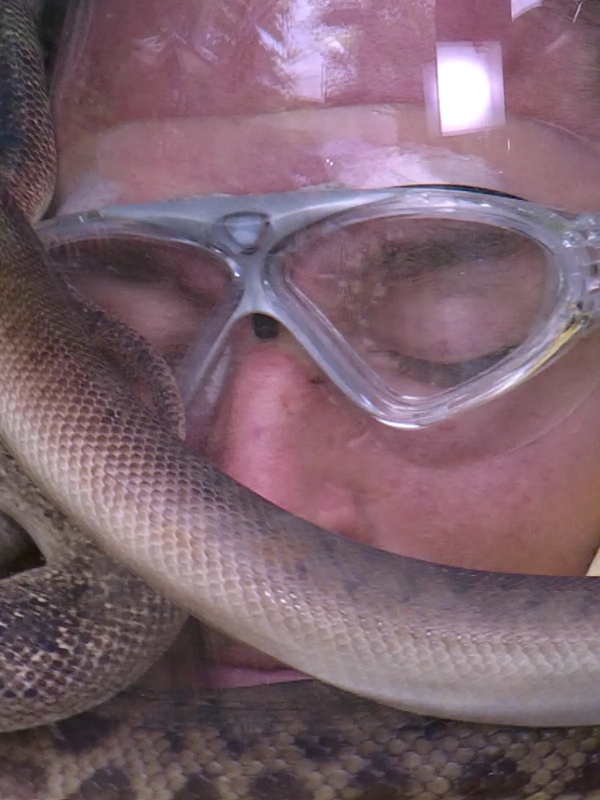 Finale! Kann sich Gil durch diese krasse Schlangen-Prüfung den Sieg holen?