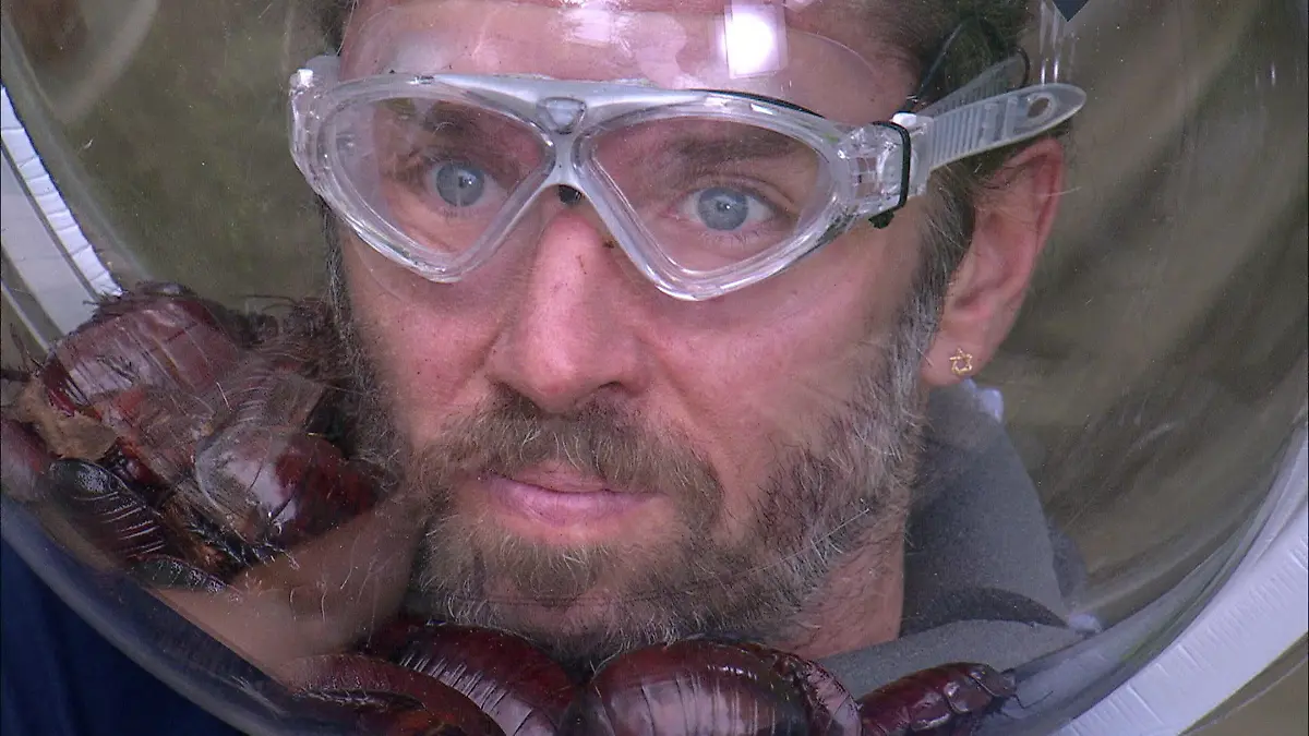 „Ihr seid so kacke, ey!“ Die letzten Prüfungen verlangen Stars alles ab Finale im Dschungelcamp 2026