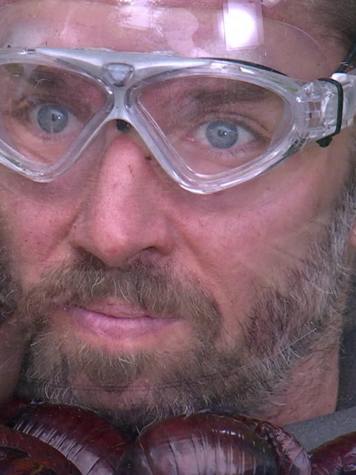 Bild zu: "„Ihr seid so kacke, ey!“ Die letzten Prüfungen verlangen Stars alles ab"