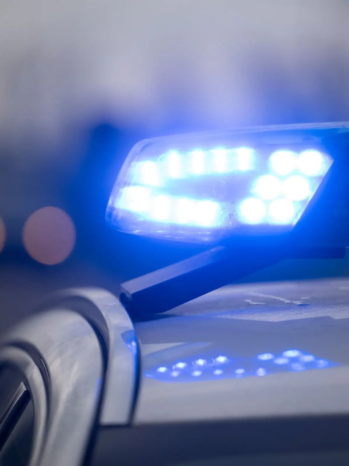 Bild zu: "Schock-Fund in Berlin! Tote Frau in Park entdeckt"