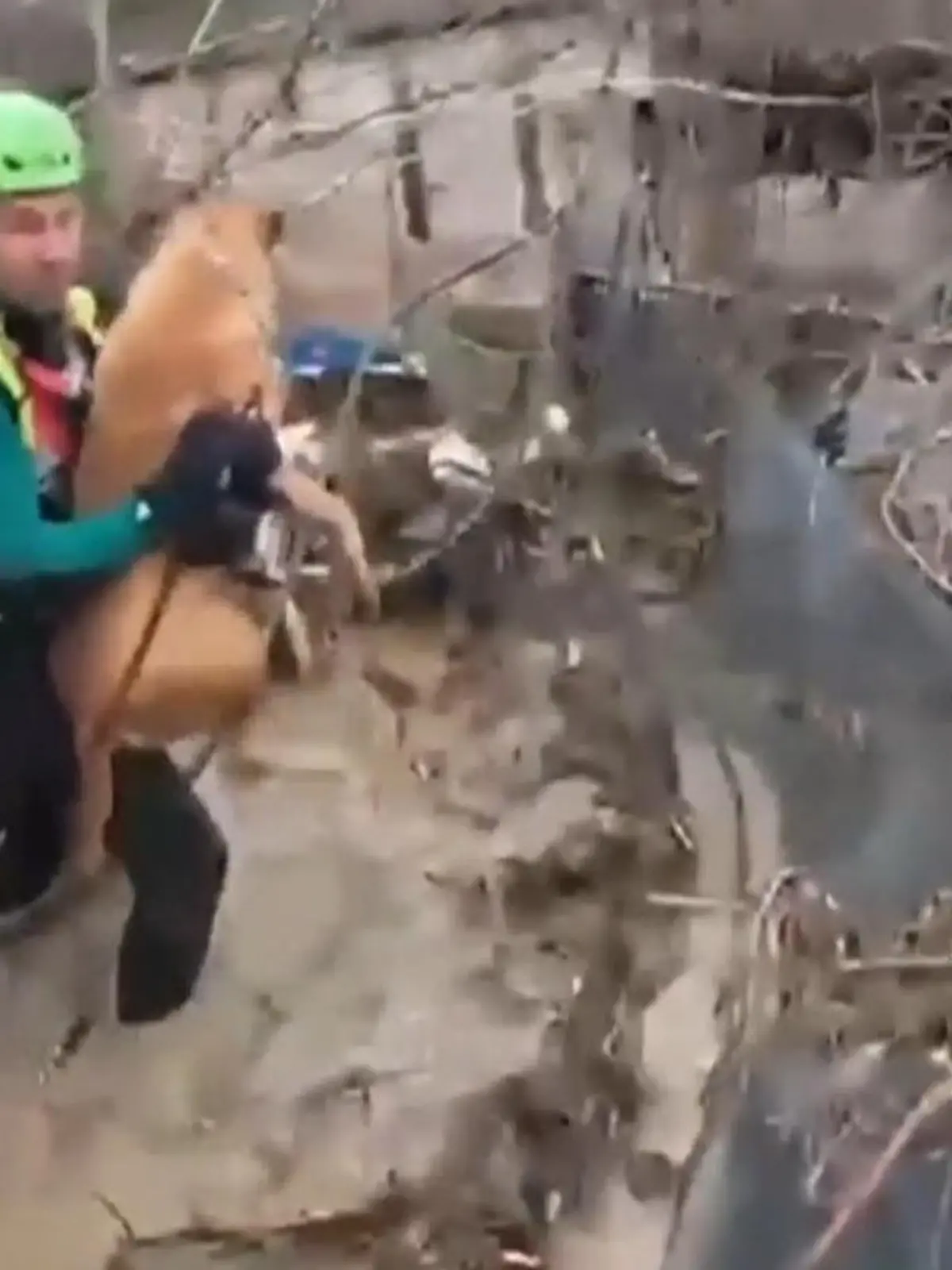 Bild zu: "Heftige Unwetter in Andalusien! Tausende Menschen müssen ihre Häuser verlassen"