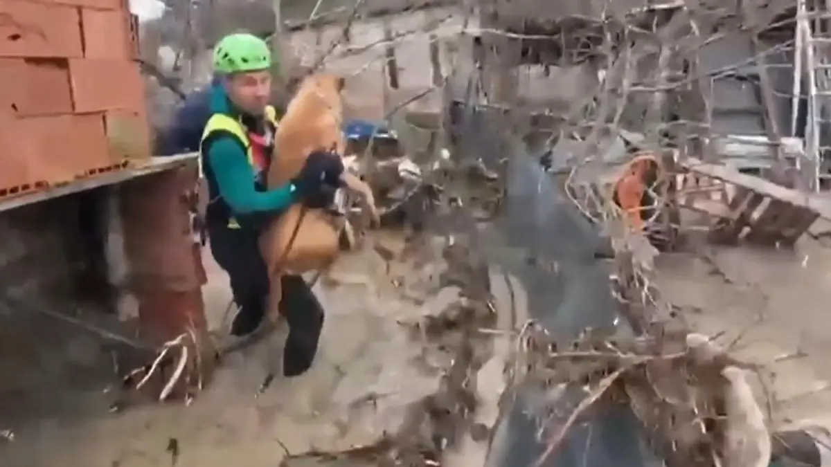 Heftige-Unwetter-in-Andalusien-Tausende-Menschen-m-ssen-ihre-H-user-verlassen