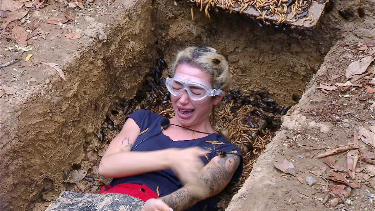 Ariel stellt sich als „freiwillige Helferin” der Dschungelprüfung „Wo Kabel?-Test” und wird dabei zum unglücklichsten „Bauarbeiter” des Camps.