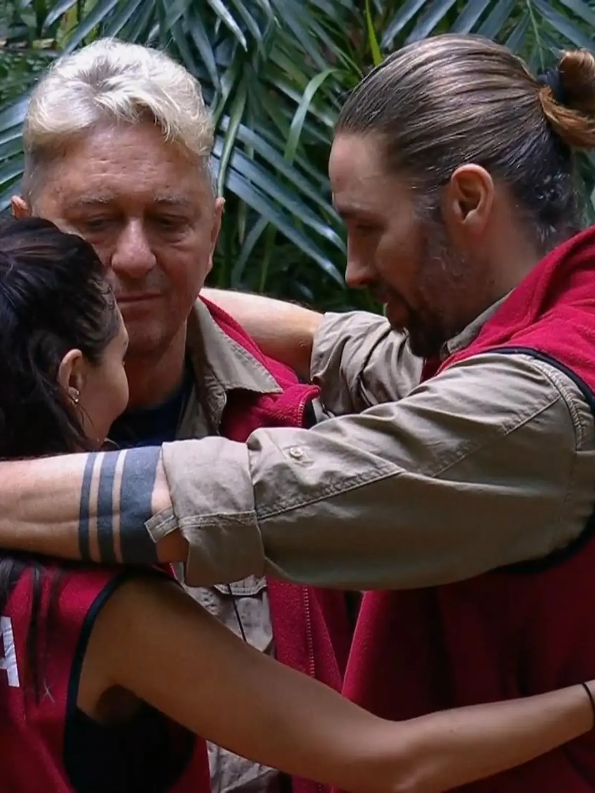 Bild zu: "3 Affen und ein Brief - wer muss in welche Prüfung?"