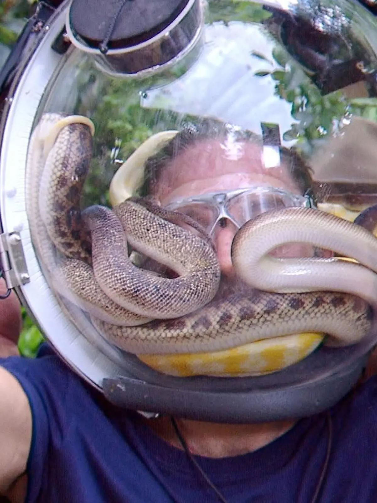 Bild zu: "Mehr Ruhe geht nicht! Hier meistert Gil Ofarim seine finale Dschungelprüfung"