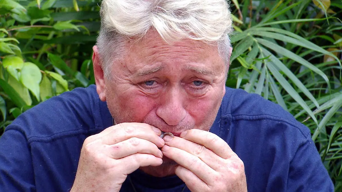 Kamelhoden, Fischaugen und Co.! Hubert Fella beißt sich tapfer durch die Prüfung Dschungelcamp-Finale 2026