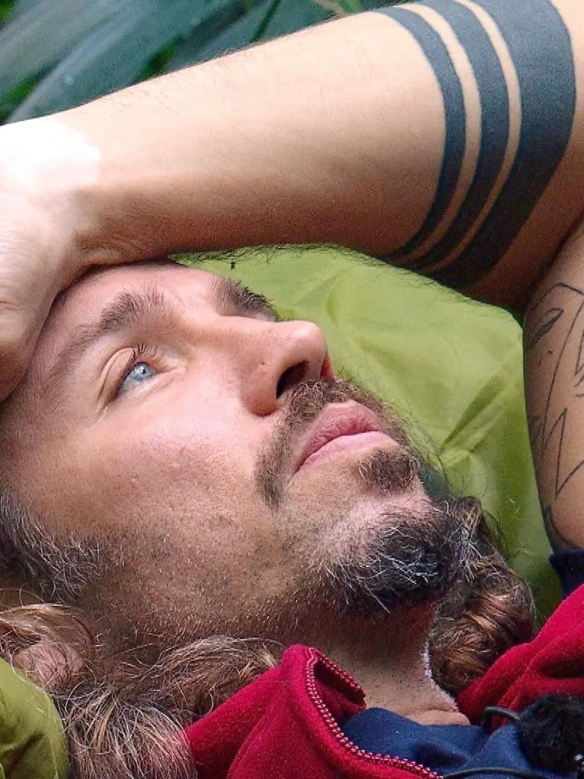 Bild zu: "Gil Ofarims Aussagen im Faktencheck"