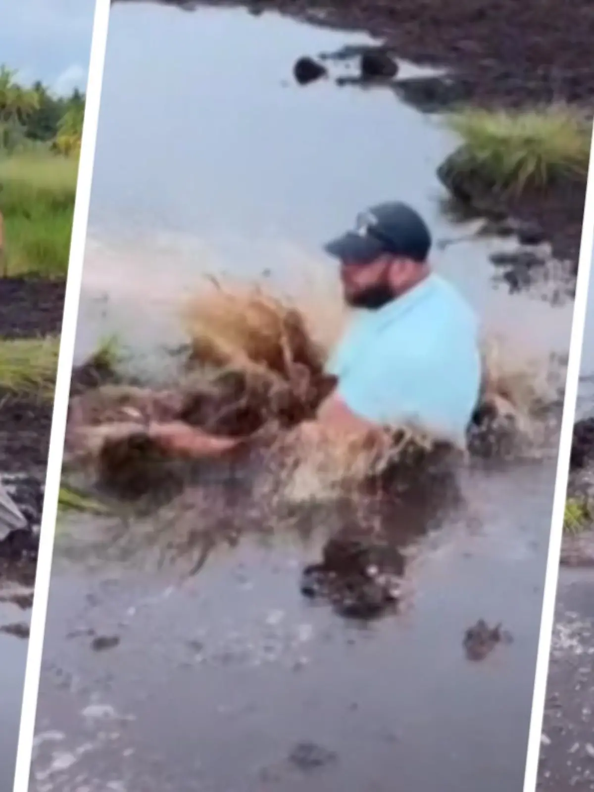 Schlamm, überall Schlamm! Als Martin Lewis nach ein paar Sekunden aus dem Wasserloch auftaucht, ist er vor lauter Matsch nicht mehr wiederzuerkenneen. Eigentlich wollte er eine Abkürzung nehmen als er mit seiner Frau auf den Malediven wanderte – doch dass es so tief nach unten ging, hätte er nicht erwartet. Seine Frau filmt den Moment, ahnte bereits, dass das in die Hose gehen wird! Wir zeigen die lustige Aufnahme im Video.