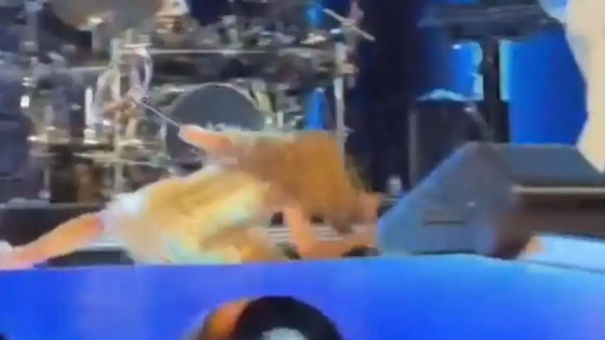 Mikrofonständer als Stolperfalle! Megastar stürzt auf der Bühne Shakira patzt bei eigenem Konzert