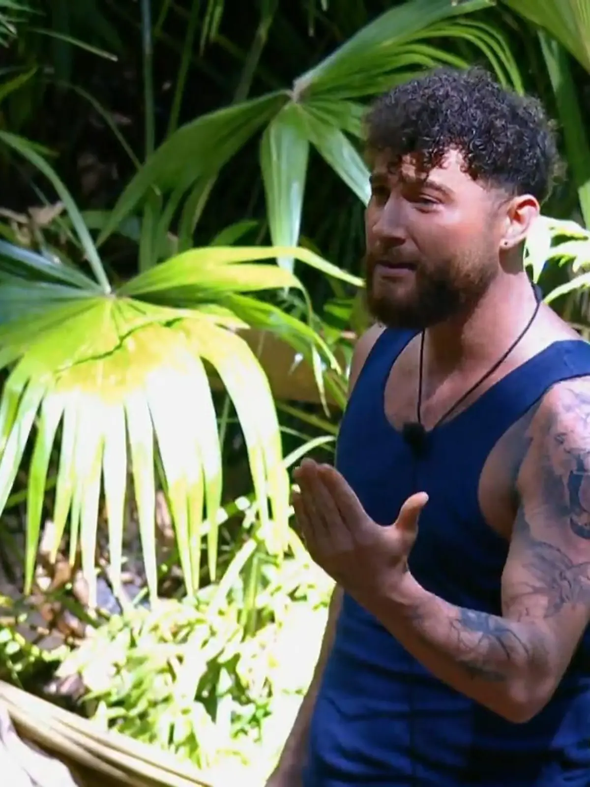 Bild zu: "Schritt-für-Schritt-Anleitung: So wird man ein Reality-Star!!"