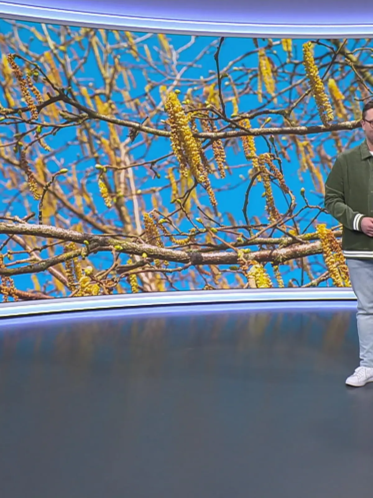 Bild zu: "Aktuelle 3-Tage-Vorhersage"