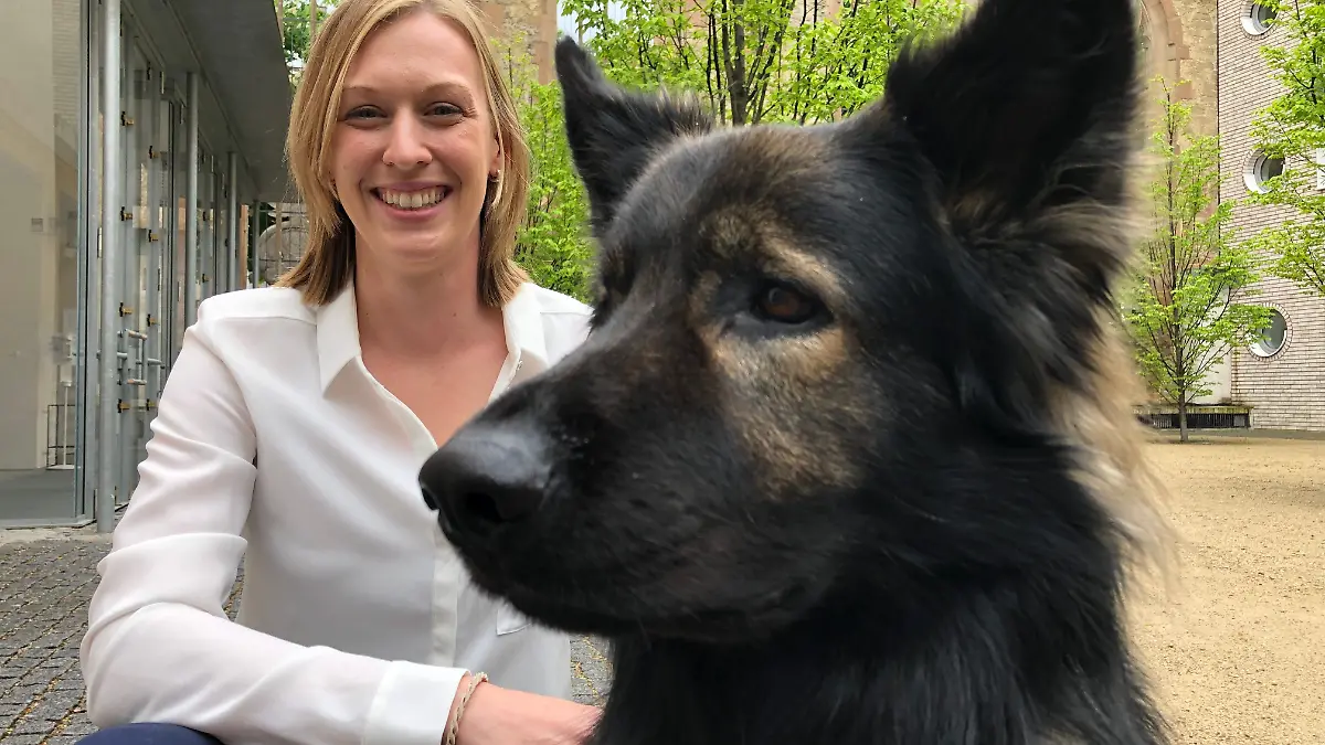 Baden-W-rttemberg-Hunde-helfen-vor-Gericht-Tierische-Begleiter-unterst-tzen-Opfer-von-Sexualdelikten