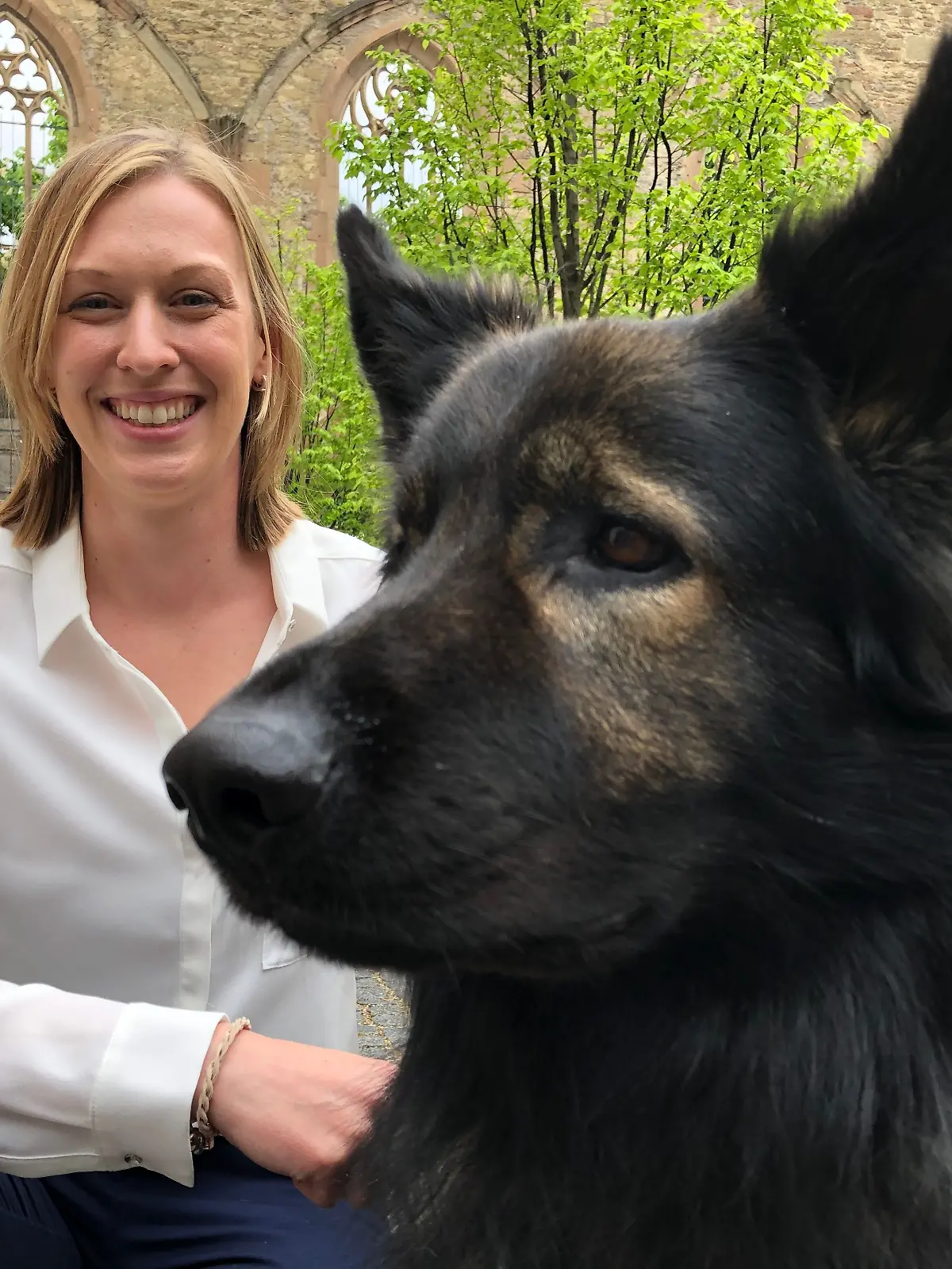 Helfer auf vier Pfoten