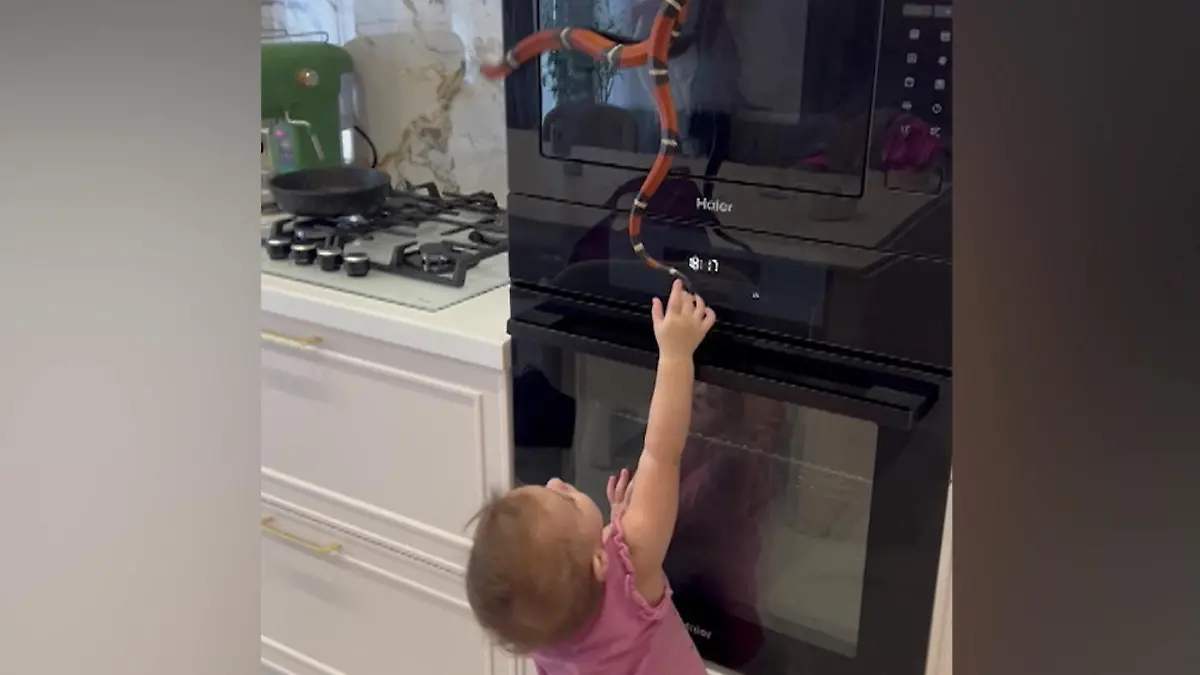 Kleinkind spielt mit Königsnatter – Mutter steht nur daneben! Schlangen-Alarm in der Küche