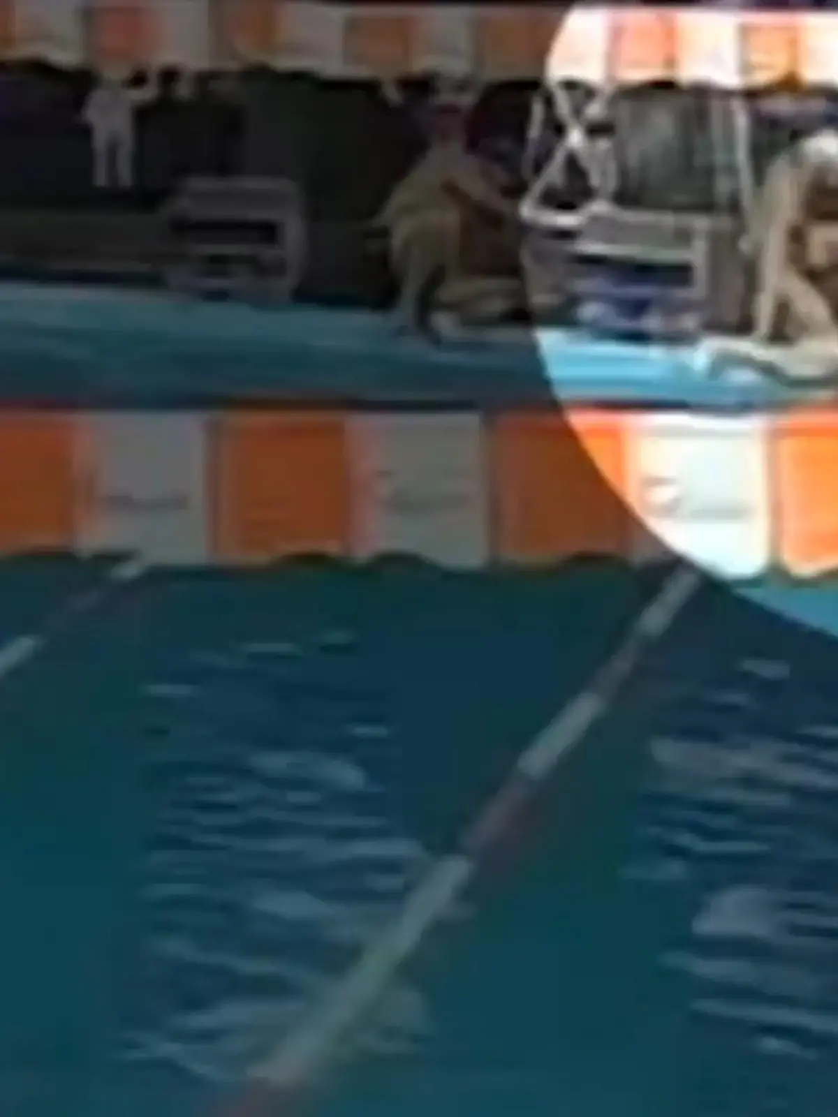 Bild zu: "Juliana (27) stirbt nach Schwimmtraining – war der Pool vergiftet? "