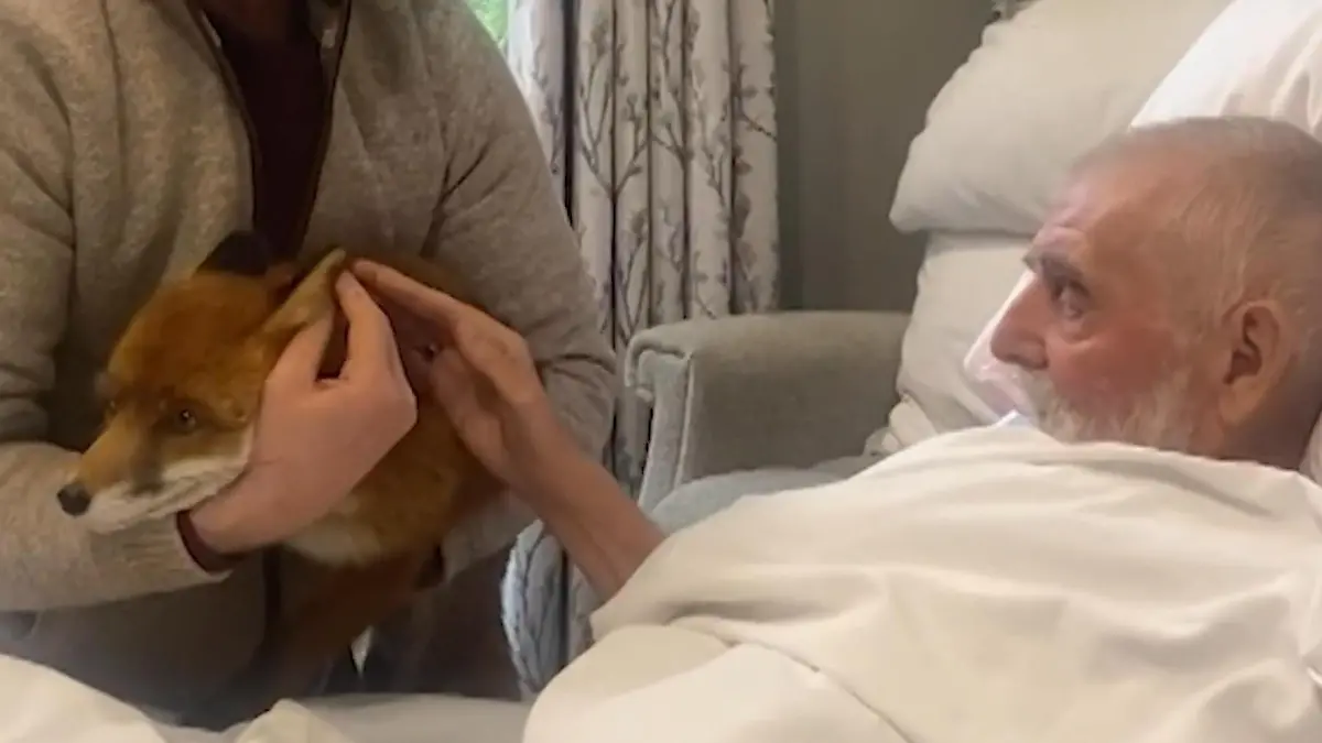 Mit-Demenz-im-Sterbebett-F-r-Colin-85-erf-llt-sich-noch-dieser-eine-letzte-Wunsch