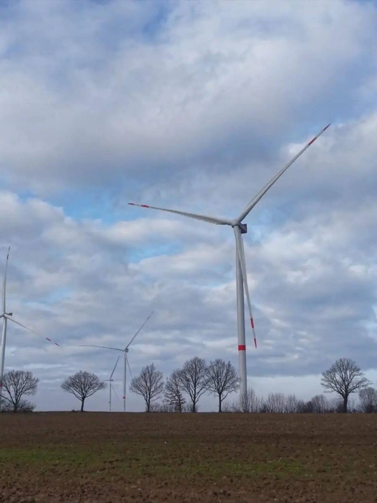 Bild zu: "Geplanter Windpark sorgt für Streit: Kreistag klagt "