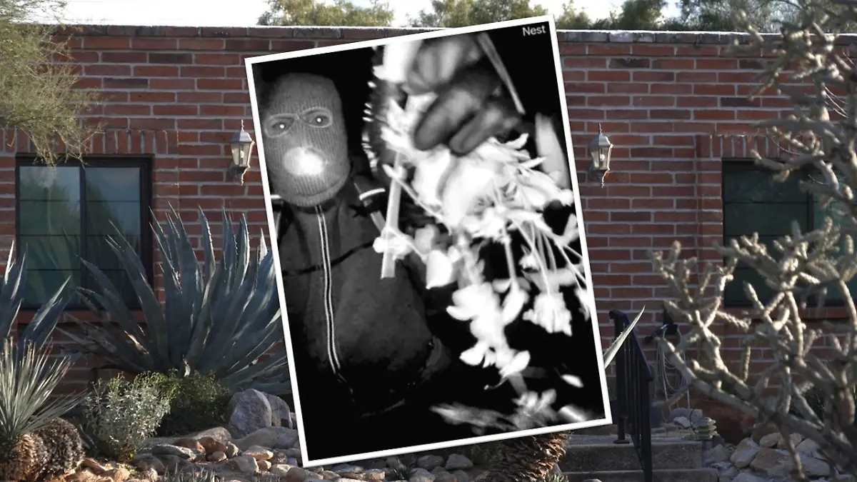 Bild zu: "FBI veröffentlicht erste Fotos vom möglichen Guthrie-Entführer"