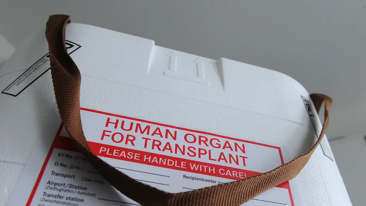 Neapel-Herzkrankes-Kind-2-erh-lt-besch-digtes-Spenderherz-europaweite-Suche-nach-neuem-Organ