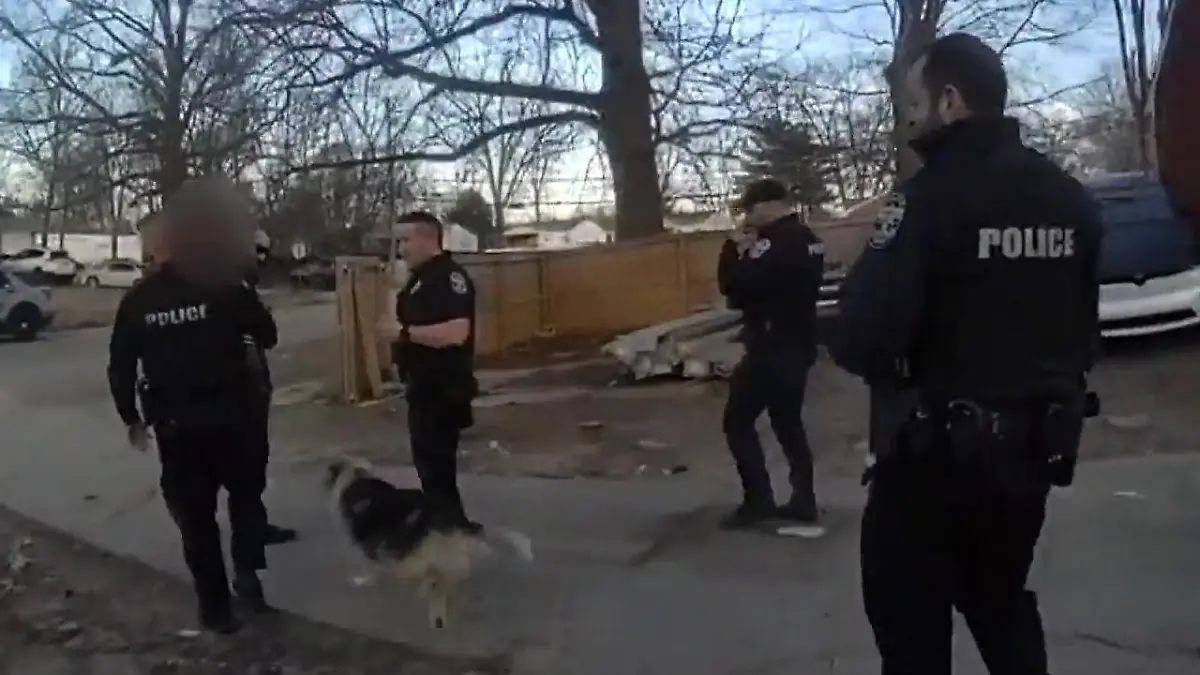 Junge (3) vermisst – dieser streunende Hund ist seine Rettung! Spürnase hilft der Polizei