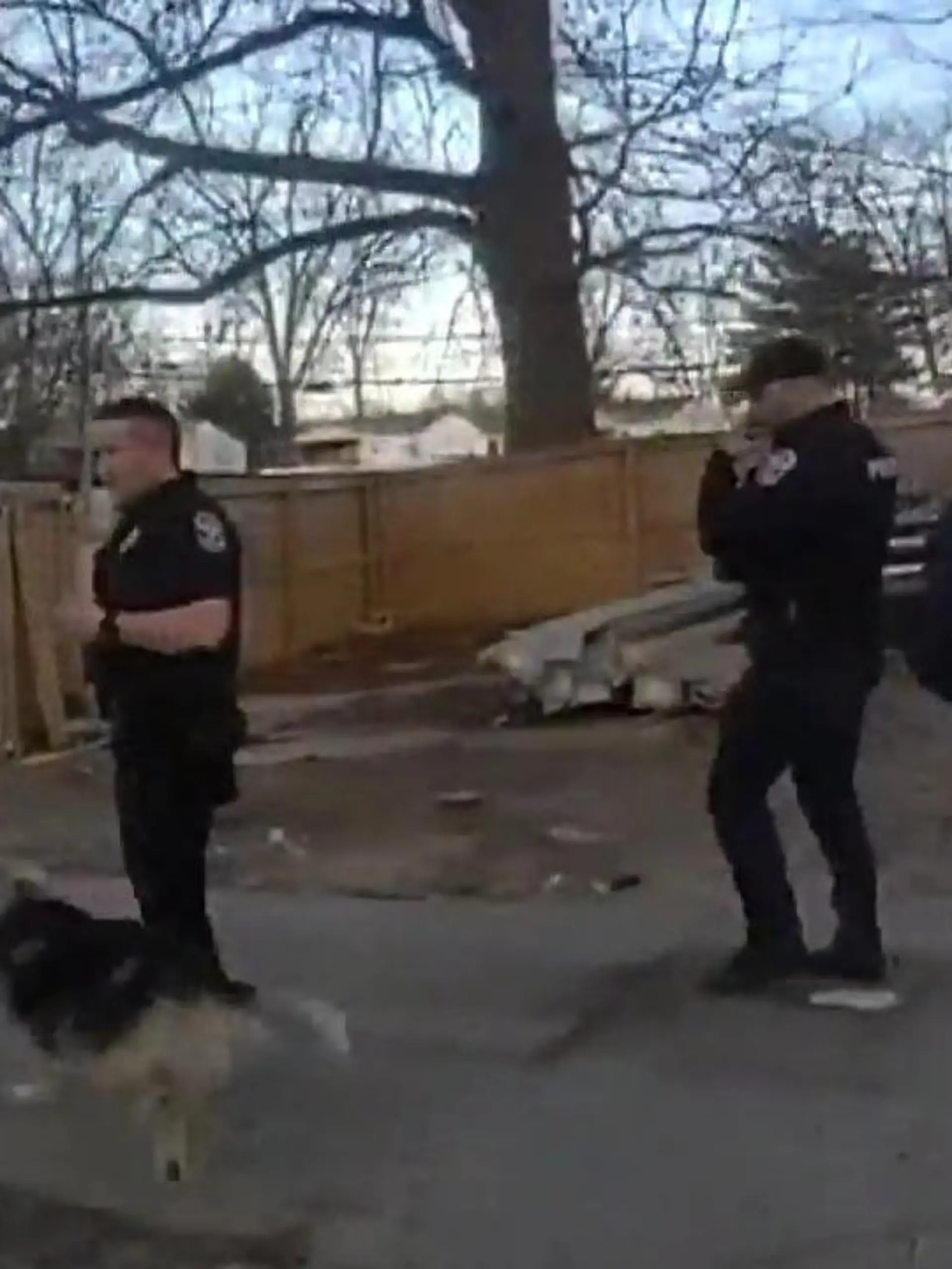 Bild zu: "Junge (3) vermisst – dieser streunende Hund ist seine Rettung!"