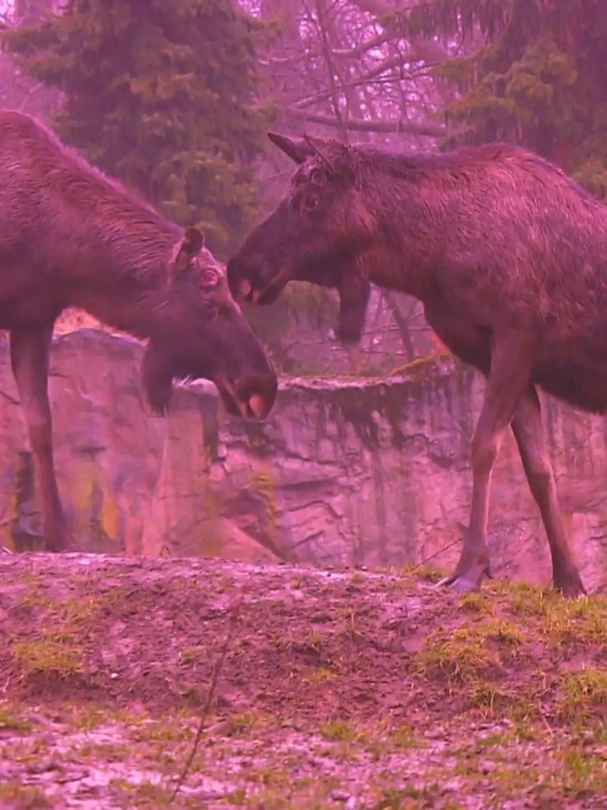 Bild zu: "ZOOM-Erlebniswelt"