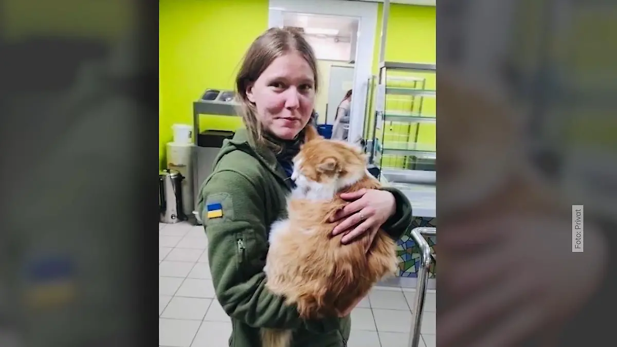 Persönliche Dinge einer gefallenen Sanitäterin in Bonn Ausstellung im Haus der Geschichte – Deutsche star