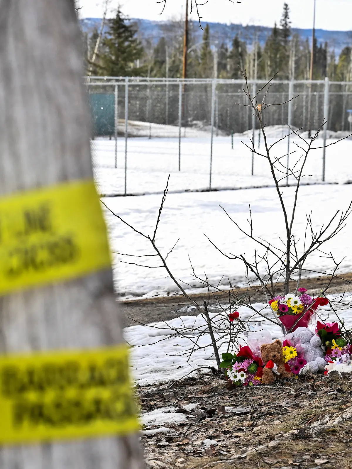 Mass shooting in the town of Tumbler Ridge, British Columbia