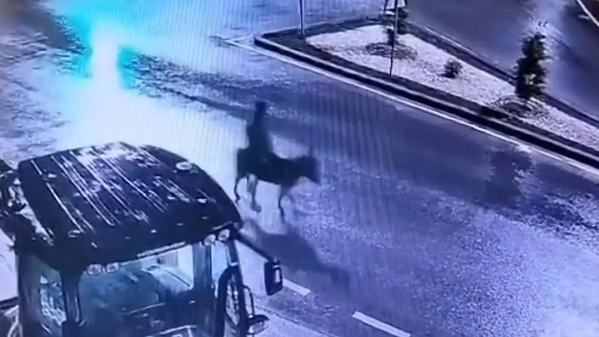 Esel-Flucht nach Blitzraub! Gangster bummelt dreist vom Tatort Gold-Coup mit I-AH-Effekt!