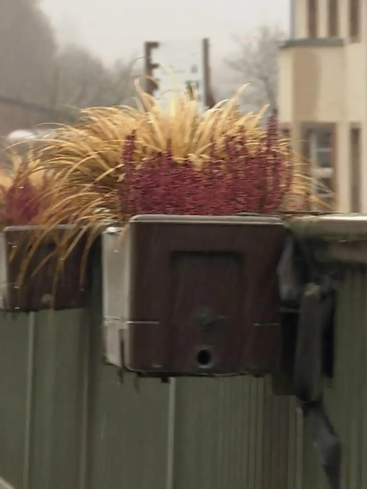 Bild zu: "Blumenkästen am Straßenrand sollen weg"