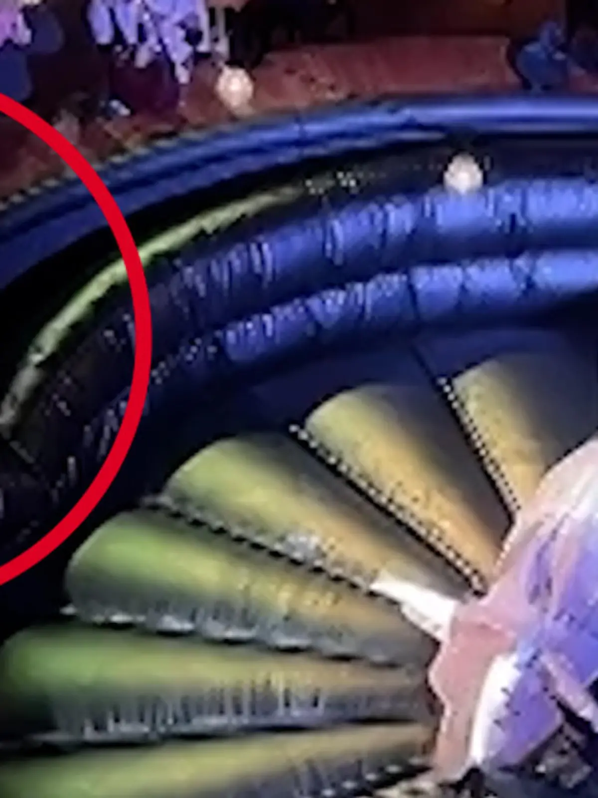 Bild zu: "Rodeo-Panne! Reality-Star blamiert sich an Bullen – dann wird's NOCH peinlicher"