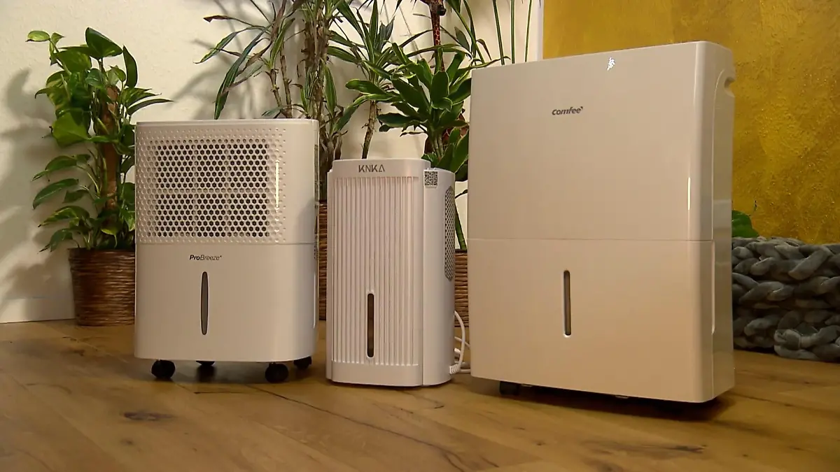 Luftentfeuchter im Test - wie gut arbeiten die Geräte? Kampf dem Schimmel!