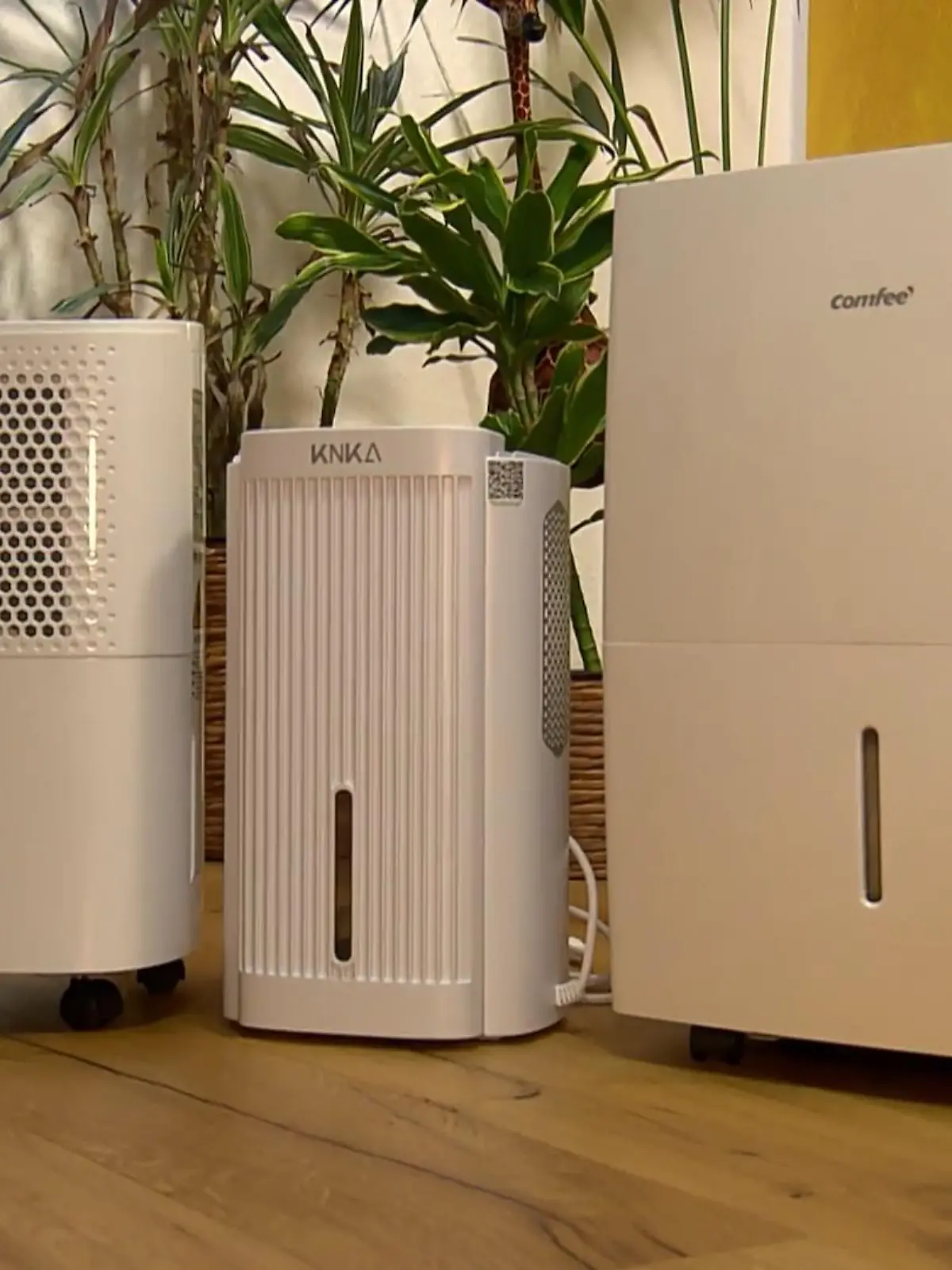 Bild zu: "Luftentfeuchter im Test - wie gut arbeiten die Geräte?"