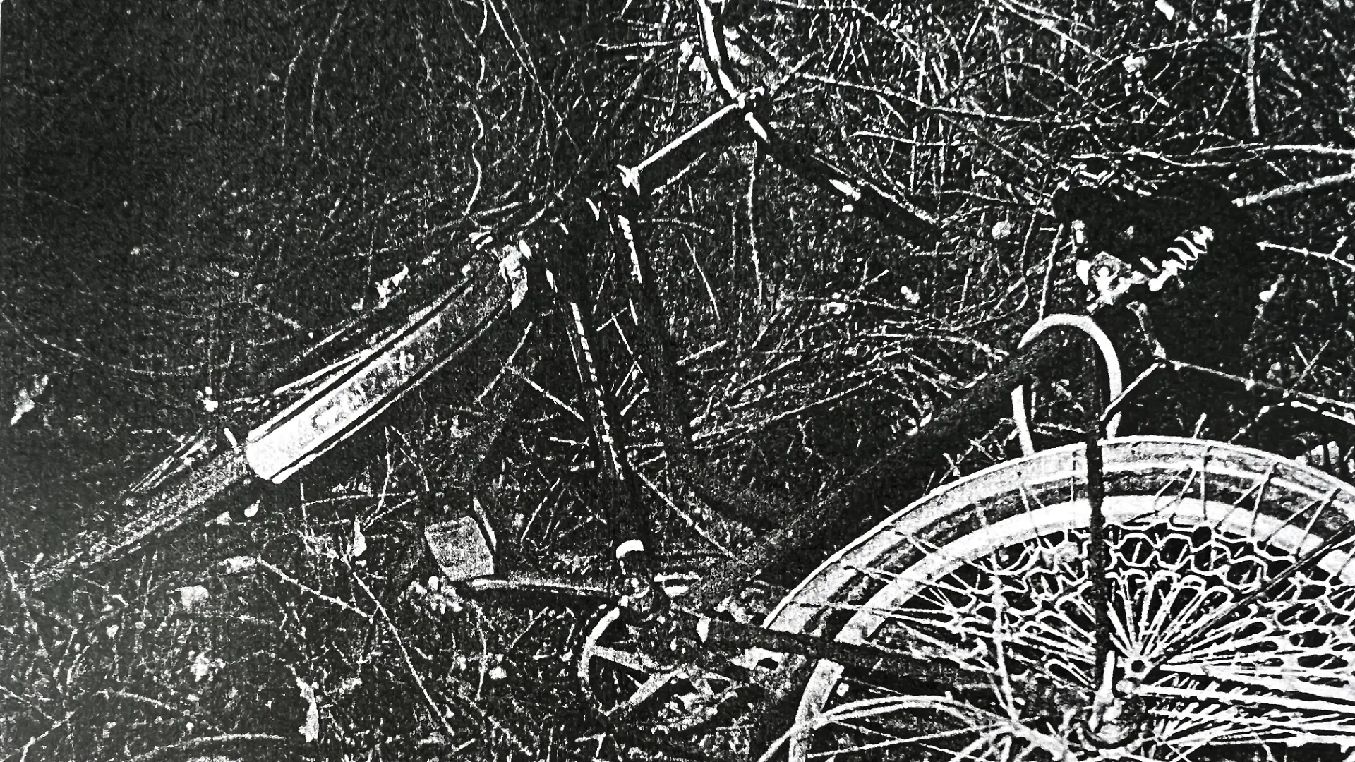 Das Fahrrad finden die Polizisten in entgegengesetzter Richtung zu Katrins Schulweg.