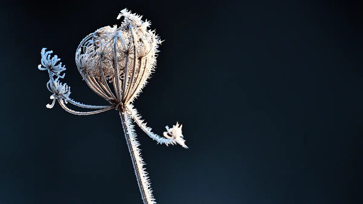 Winterwetter in Nordrhein-Westfalen