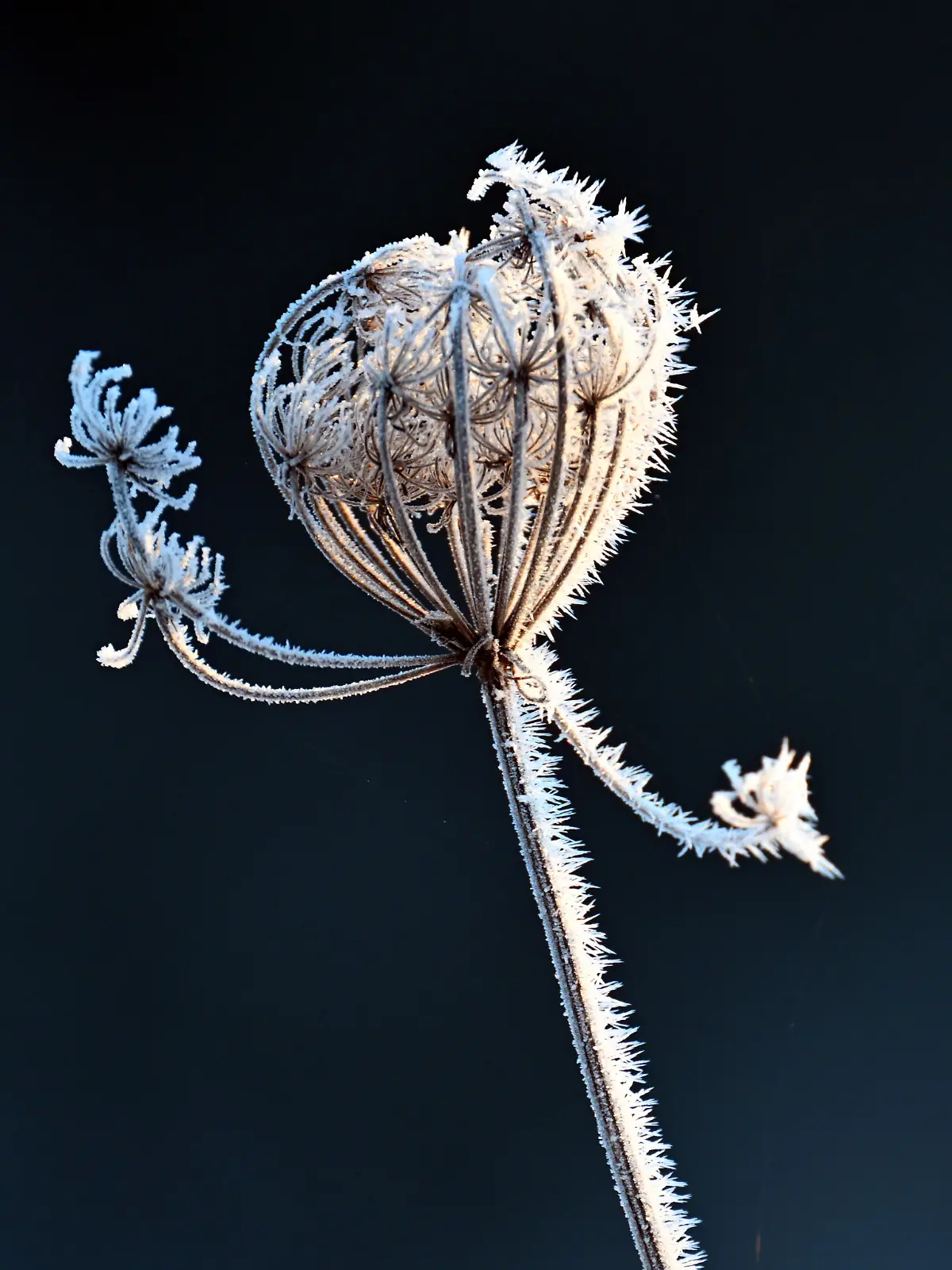 Winterwetter in Nordrhein-Westfalen